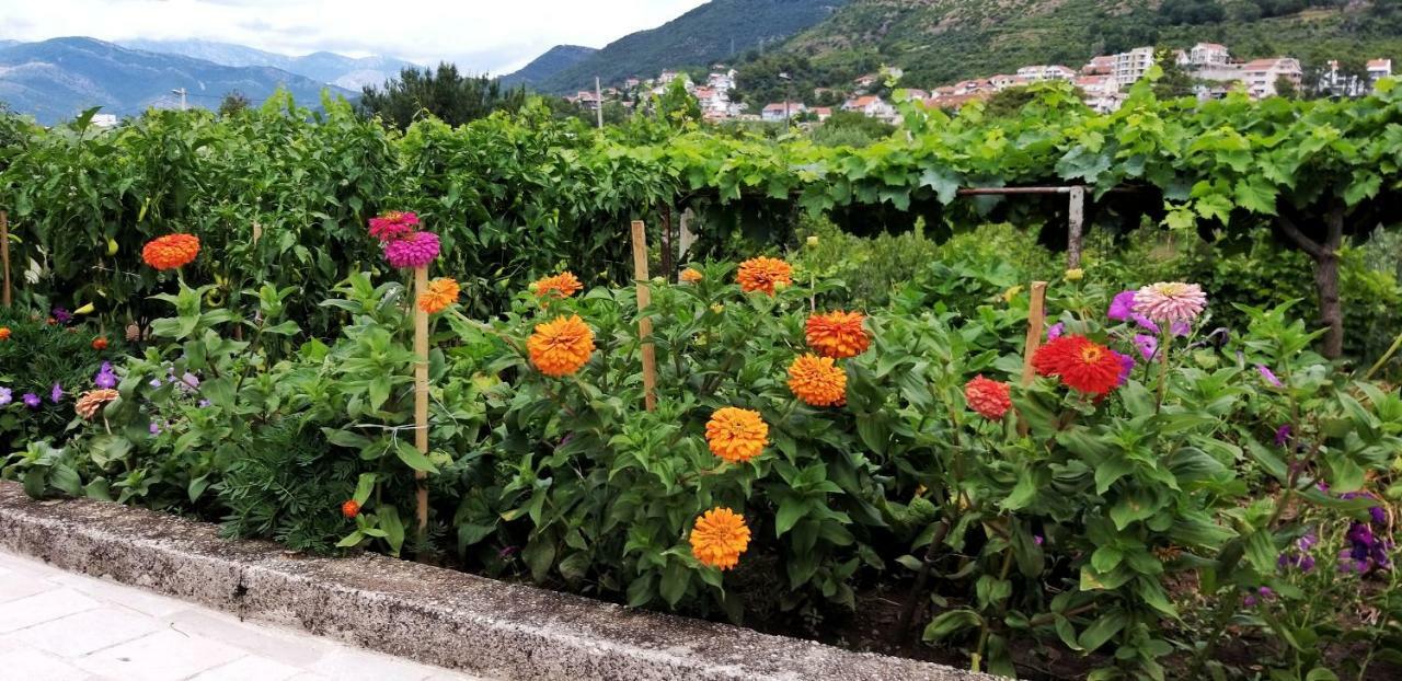 Petivat Gardensアパートメント エクステリア 写真